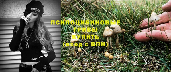 спайс Баксан
